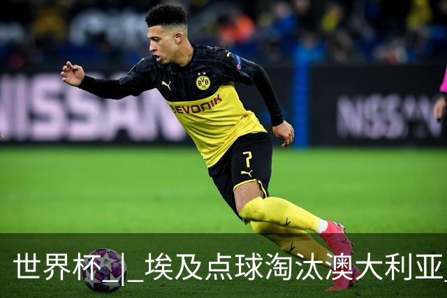 世界杯 | 埃及点球淘汰澳大利亚 亚洲区球队全部出局
